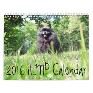 iLMP Kalender 2016