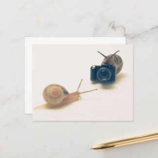 I'm a photographer. postkarte