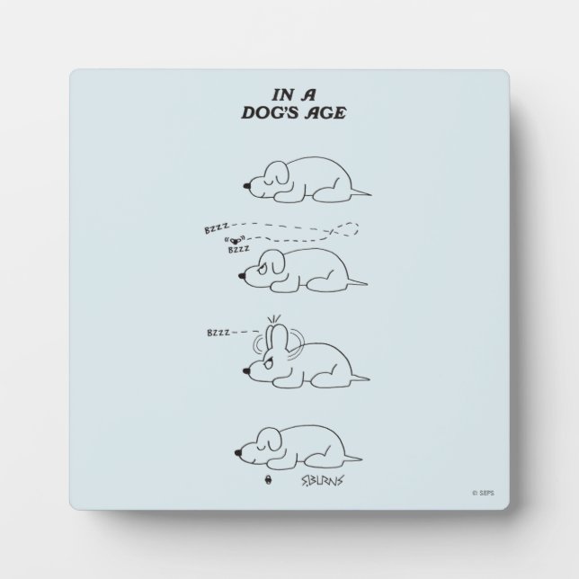 Im Alter eines Hundes Fotoplatte (Vorderseite)