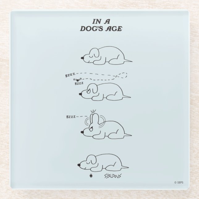 Im Alter eines Hundes Glasuntersetzer (Vorderseite)