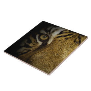 Im Auge eines Tigers Fliese