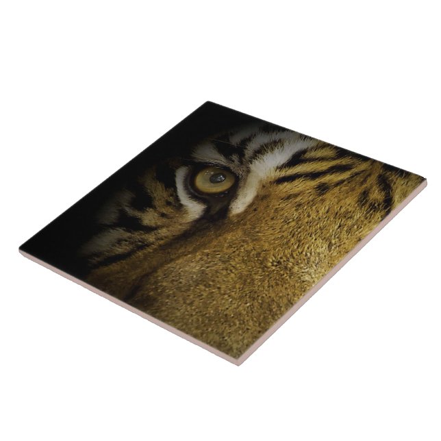 Im Auge eines Tigers Fliese (Seite)