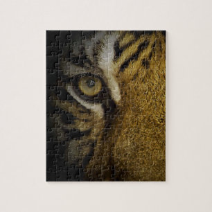Im Auge eines Tigers Puzzle