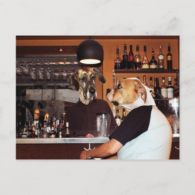 Im Bar Postkarte (Vorderseite)