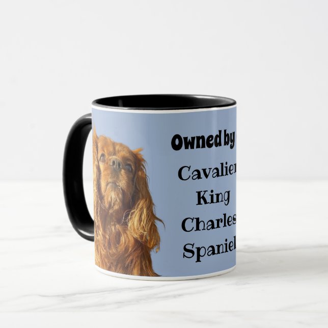 Im Besitz einer Ruby Cavalier King Charles Spaniel Tasse (Vorderseite Links)