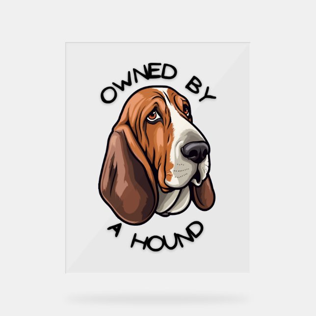 Im Besitz eines Basset Hound Acrylschild (Vorderseite)