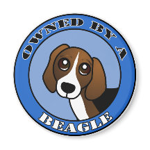 Im Besitz eines Beagle - Blau