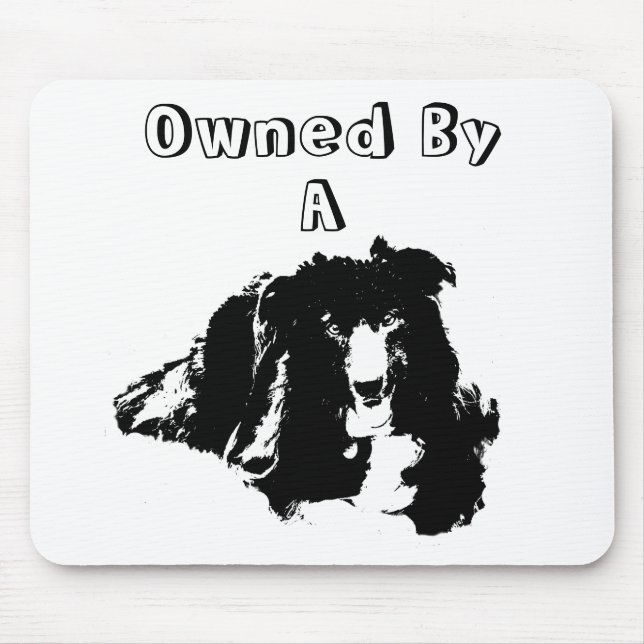 Im Besitz eines Grenzgängers Collie Funny Dog Mousepad (Vorne)