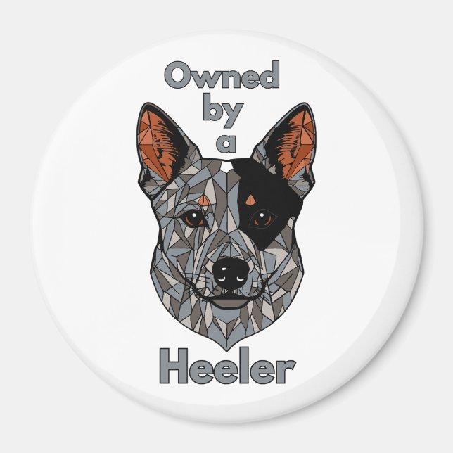 Im Besitz eines Heelers (blau) Magnet (Vorne)