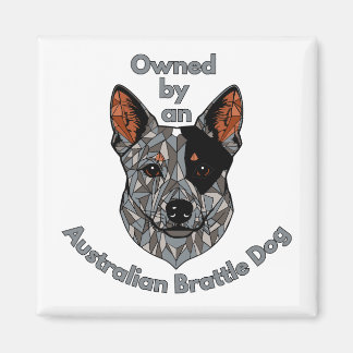 Im Besitz eines Hundes aus Brattle Magnet