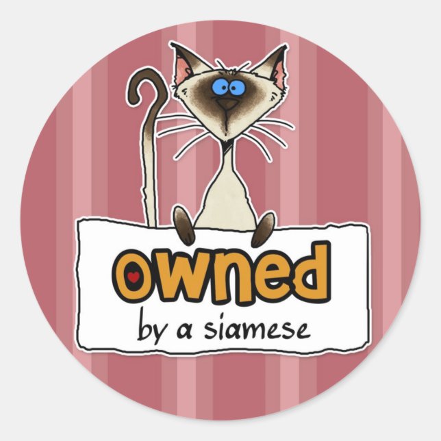im Besitz eines Siamesen Runder Aufkleber (Vorderseite)