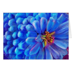 Im Blau Zinniakarte, Blume