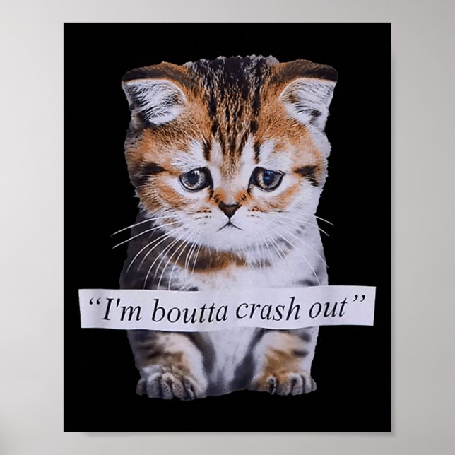 I'm Boutta Crash Out Cat Funny Meme Cat Pet Lover  Poster (Vorne)
