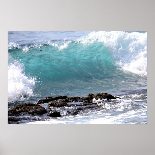 IM CURL POSTER (Vorne)