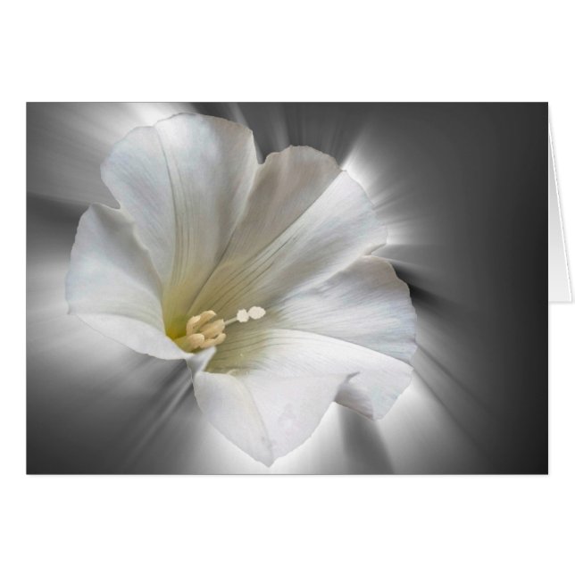 Im Dunkeln leuchten (Vorderseite (Horizontal))