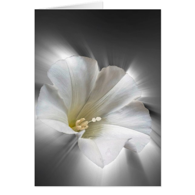 Im Dunkeln leuchten (Vorne)