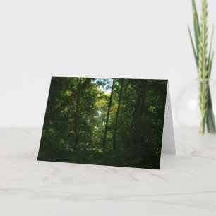 Im dunklen Wald Karte