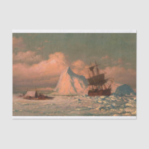 Im Eis versteckt, Gewartet von W. Bradford Seidenpapier