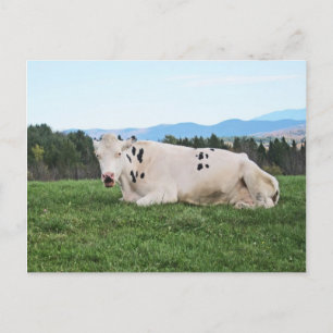 Im Feld Postkarte