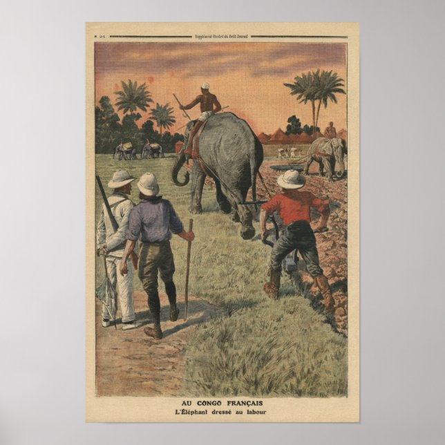 Im französischen Kongo trainierte der Elefant zu p Poster (Vorne)