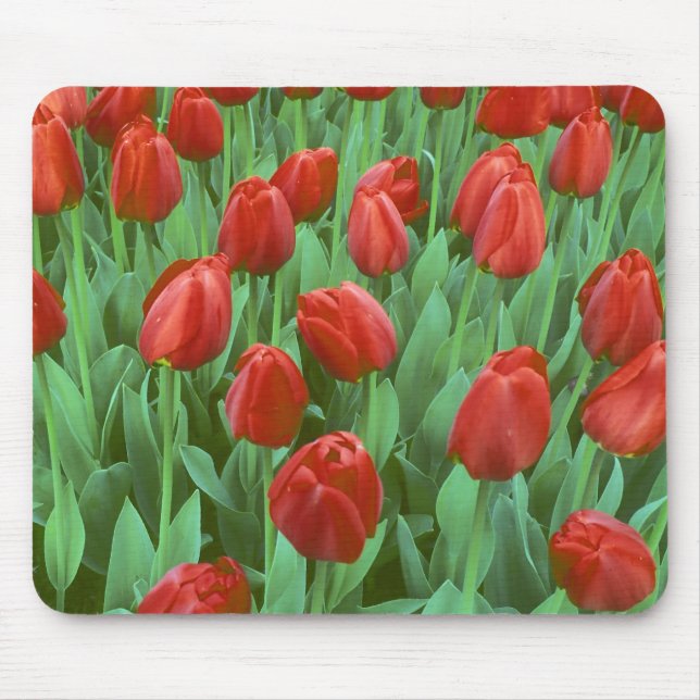 Im Frühling blüht das Tulip-Feld. Mousepad (Vorne)