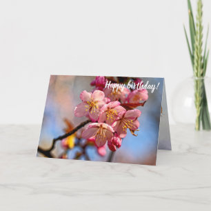 Im Frühling blüht ein Haufen süßer Sakura-Kirschbr Karte