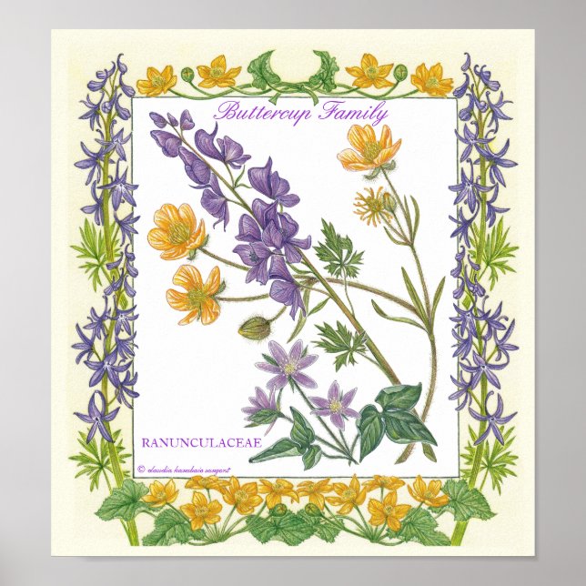 Im Garten ~ Buttercup Familienposter Poster (Vorne)