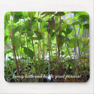 Im Garten Mousepad