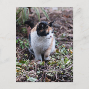 Im Garten - Postkarte