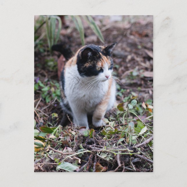 Im Garten - Postkarte (Vorderseite)