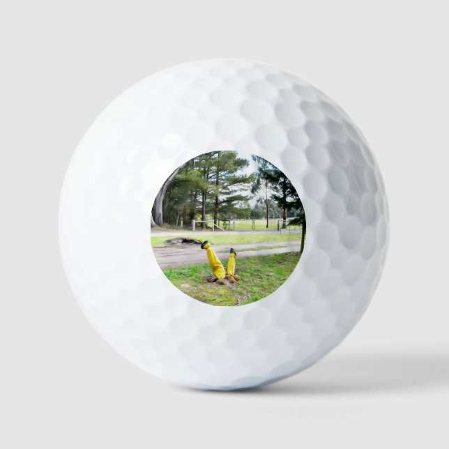 Im Garten wieder verloren Golfball (Vorderseite)
