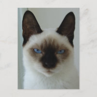 Im Gedächtnis der ushu-Postkarte