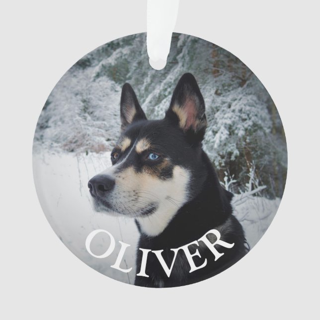 Im Gedächtnis des Hundes an Weihnachten Ornament (Vorderseite)