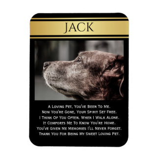 im Gedächtnis eines verlorenen Haustiers Magnet