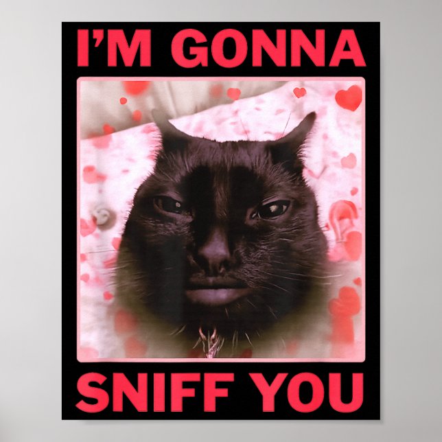 I'm Gonna Sniff You Funny Raunchy Brainrot Meme Ge Poster (Vorne)