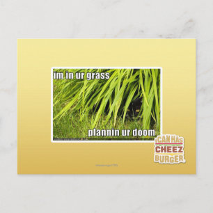 im Gras Postkarte