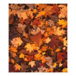 im Herbst Fotodruck