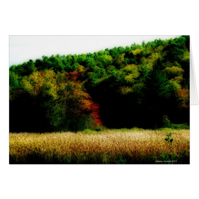 Im Herbst in Neuengland bei Käfern (Vorderseite (Horizontal))