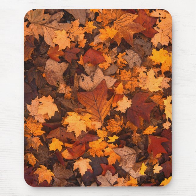 im Herbst Mousepad (Vorne)
