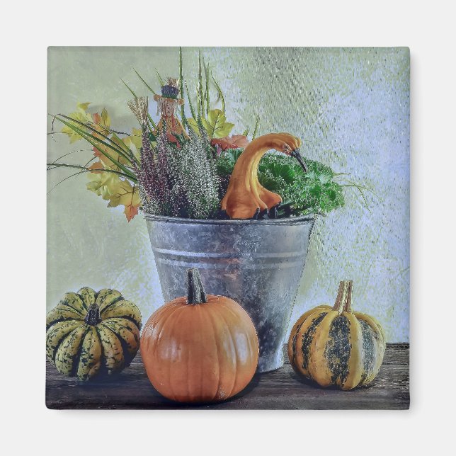 Im Herbst noch Leben mit Kürbis, Blume Magnet (Vorne)