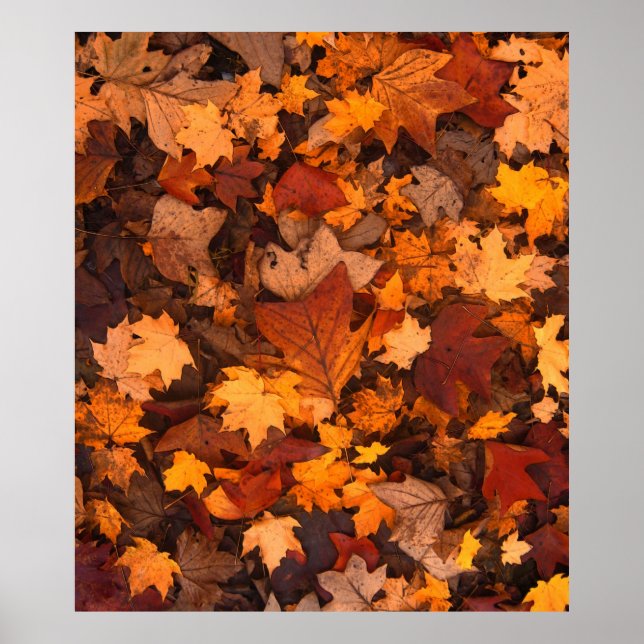 im Herbst Poster (Vorne)