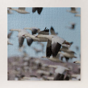 Im Himmel von Socorro schweben Puzzle