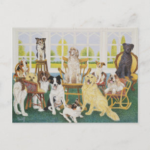 Im Hundehaus Postkarte