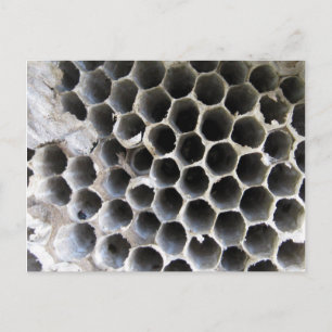 Im Inneren des Hives Postkarte