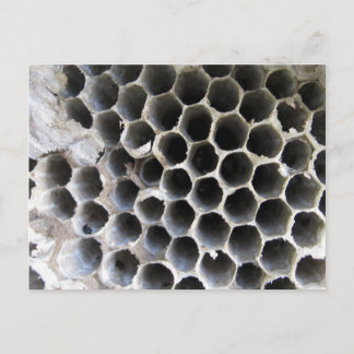 Im Inneren des Hives Postkarte