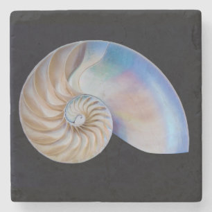 Im Inneren des Nautilus Steinuntersetzer