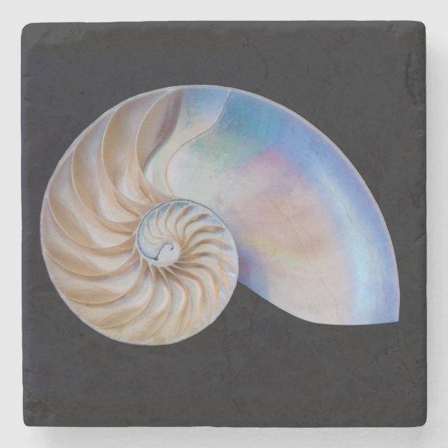 Im Inneren des Nautilus Steinuntersetzer (Vorderseite)