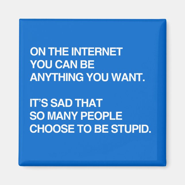 IM INTERNET KÖNNEN SIE ALLES GEWOLLT SEIN MAGNET (Vorne)