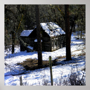 Im kalten Winter.... Poster