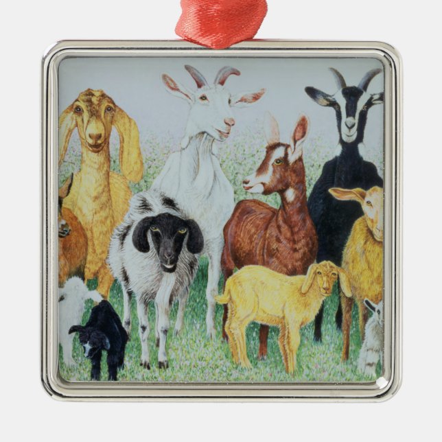 Im Klee Silbernes Ornament (Vorne)